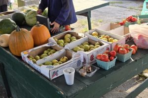 463411603_932657445563904_3290689168252366504_n